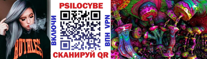 Псилоцибиновые грибы мухоморы  Чегем 