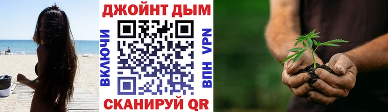 Шишки марихуана сатива  Чегем 